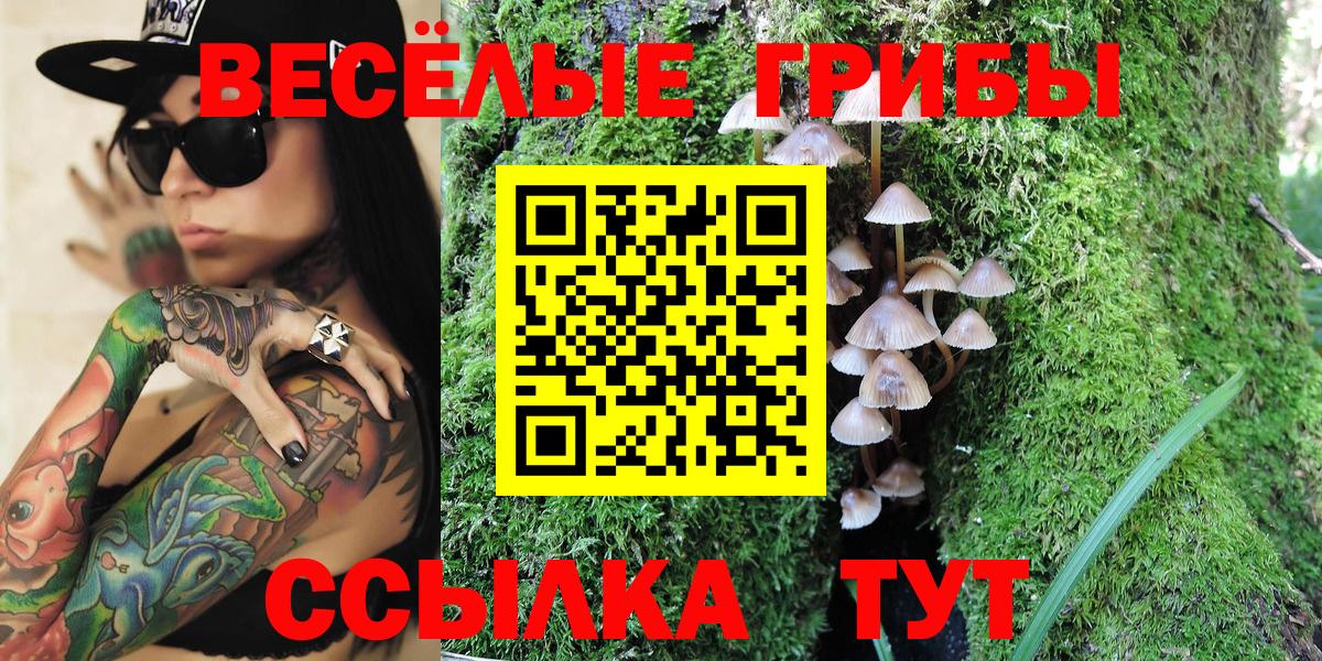 Псилоцибиновые грибы мухоморы Тимашёвск